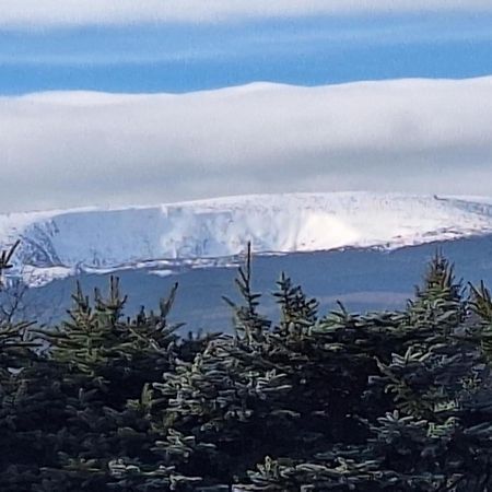 Sunny Hill , Kowary Διαμέρισμα Εξωτερικό φωτογραφία